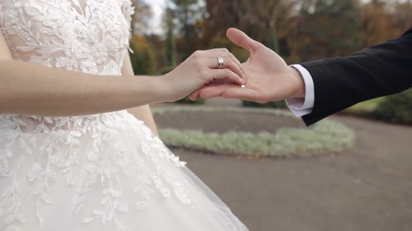 Newlyweds. Hands of Groom with Bride in the Park. Wedding Couple. Happy Family alt