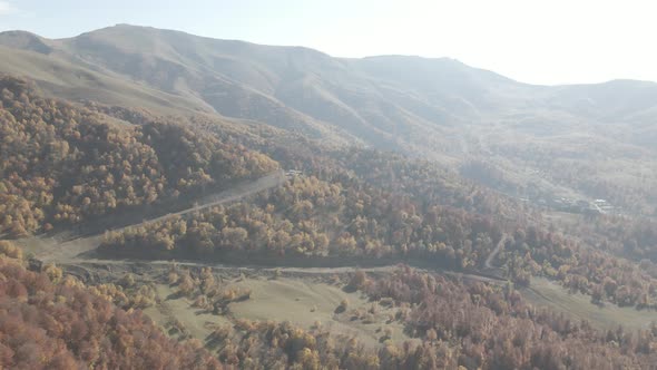 Flying over beautiful mountains in Bakuriani. Aerial view of Autumnal forest. Georgia alt