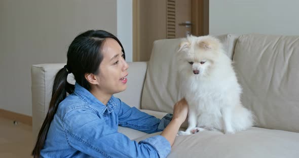 Woman Cuddle Her Pomeranian Dog at Home alt