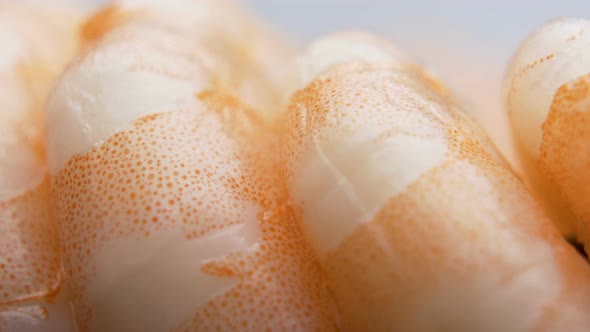 Close Look of Dotted Segments of Prawn Abdomen. Shrimp Food Background alt