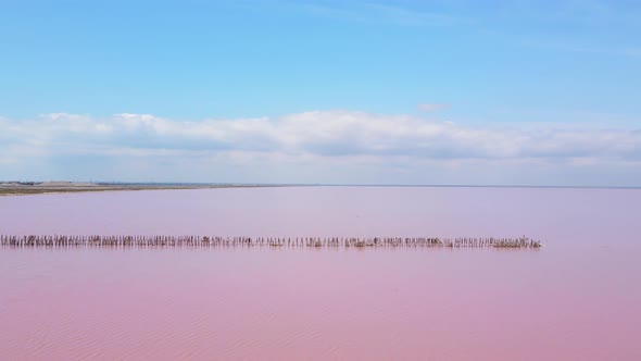 SasykSivash is the Largest Lake and Salt Lake on the Crimean Peninsula alt