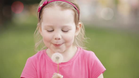 Charming Little Girl Blowing Dandelion While Walking