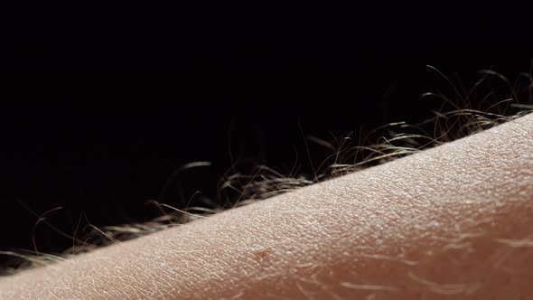 Hand Surface with Hair Closeup alt