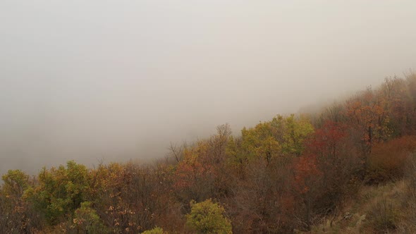 Autumn Day Over A Misty Forest 3 alt