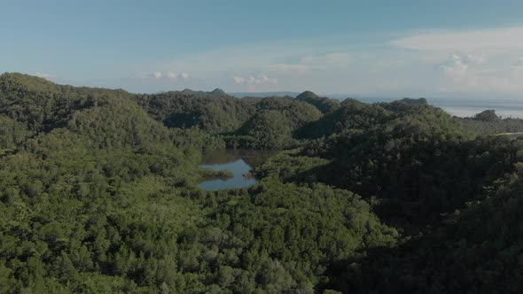Beautiful aerial drone shot above dense  green forest in island in siargao the philippines. sunny da alt