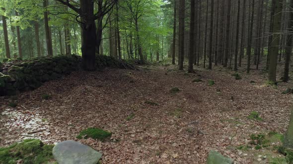 Old Stone Wall in Forest Drone Shot