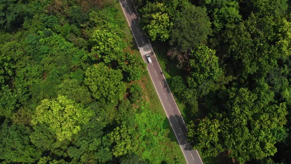 Soaring over long stretch of highway in the middle of a lush green deep forest, Uttarakhand, India alt