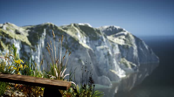 Fresh Grass at Big Rocky Cliff in Ocean alt