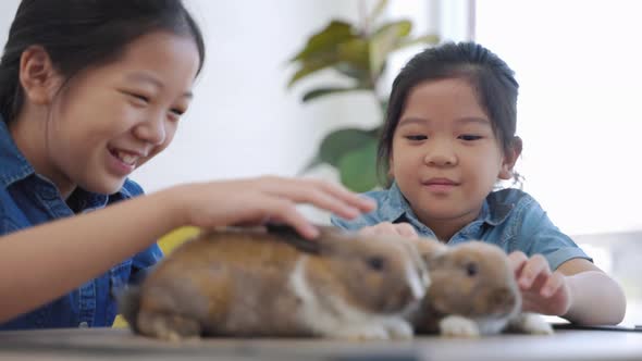 Two Asian girls playing with their pet rabbits, mammals, domestic pets.