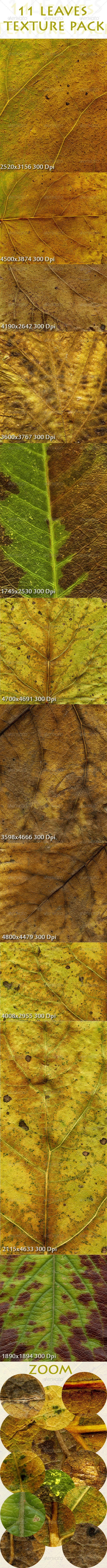 11 Leaves Texture Pack - Nature Textures
