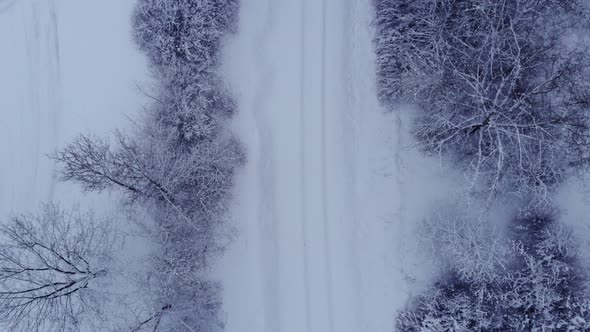 Snowcovered Railroad in the Woods
