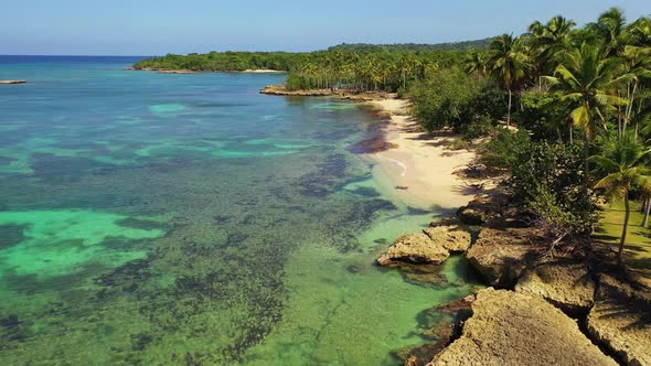 Spectacular flyover along coast of sandy beach with green clear ocean water by tropical palm trees, alt