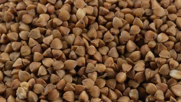 buckwheat. fresh buckwheat. dry buckwheat background. buckwheat texture alt