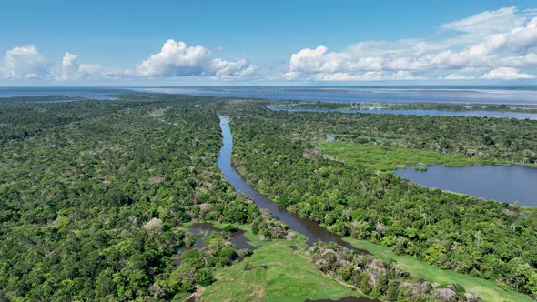 Stunning landscape of Amazon Forest at Amazonas State Brazil. alt