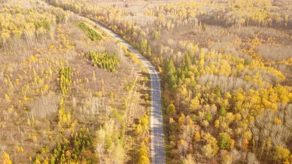 Autumn Nature Road