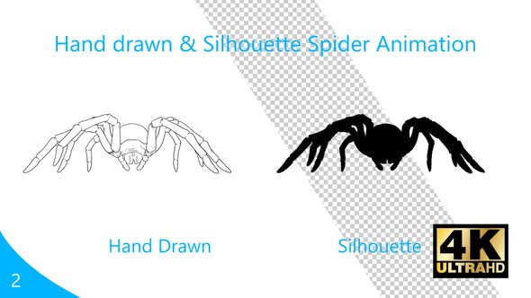 Hand Drawn & Silhouette Spider Animation