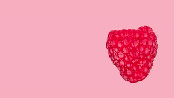 fresh ripe raspberry rotating on a pink background close-up alt