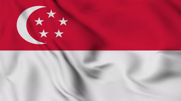 Singapore flag seamless closeup waving animation