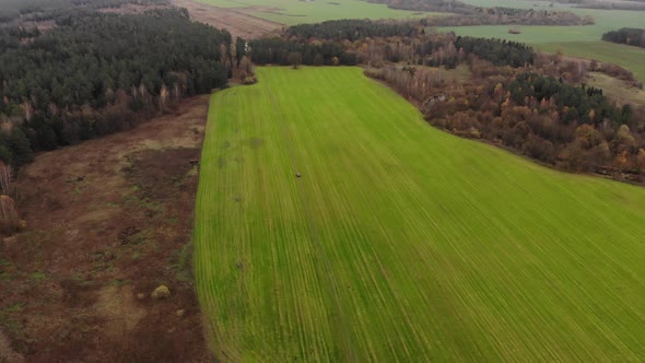 Back Aerial View at Red Car Moves Along Ground Road Crossing Green Fields