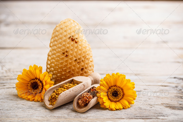 Apiary products - Stock Photo - Images