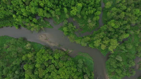 Meanders River Delta River Dron Aerial Video Shot Inland in Floodplain Forest and Lowlands Wetland