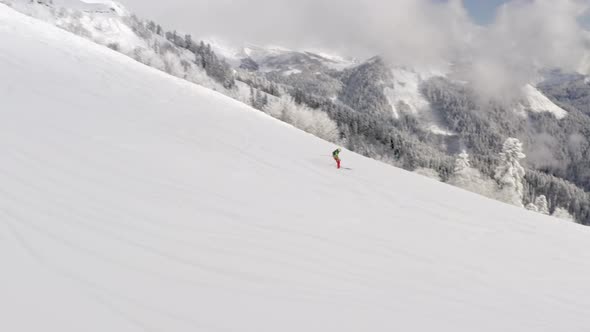 Skier Riding Freeride on Ski From Snowy Slope in Winter Mountain Pine Forest alt