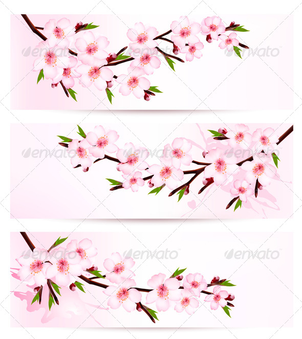 Three Sakura Branch Banners - Flowers & Plants Nature