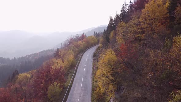 Aerial Shot Of A Car Driving Down A Road In An Autumn Forest alt