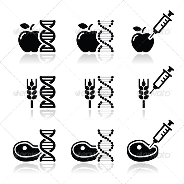 Food DNA - Food Objects
