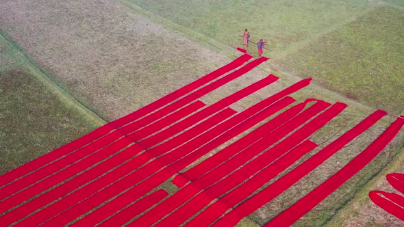 Aerial view of red cotton rolls drying on a field, Dhaka, Bangladesh. alt