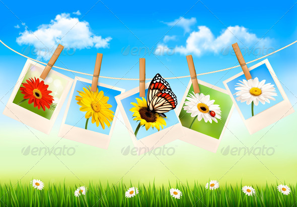 Nature Background with Photos of Flowers - Flowers & Plants Nature