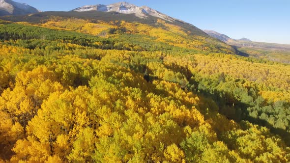 Fall colors in Crested Butte, Colorado alt