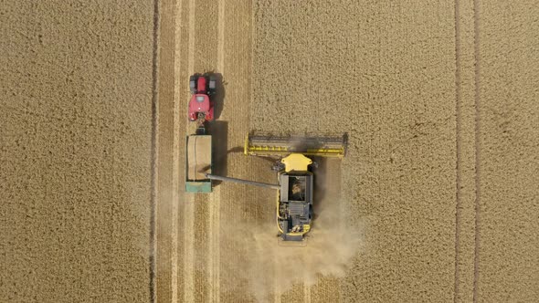 Top down view of Harvester machine working in wheat field  alt