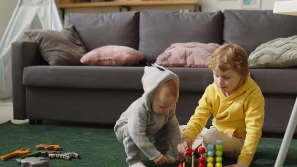 Little Brothers Playing Developmental Toy at Home alt