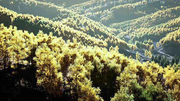 View on Autumn Forest in Mountains and Blue Sky of Switzerland alt