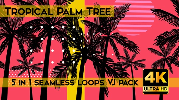 Tropical Palm Tree VJ Loops