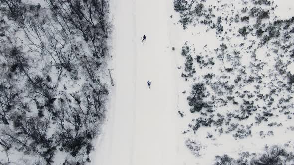 Two skiers on a snowy path from above in cold winter climate alt