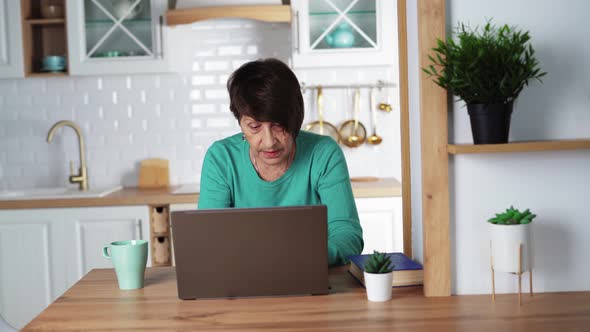Elderly Woman Remotely Working on Laptop Old Lady is Typing on Notebook Keyboard alt