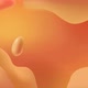 Orange Abstract Background - VideoHive Item for Sale