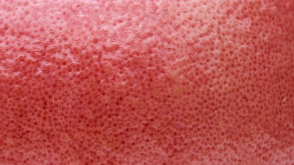 Macro Shot of Rotating Grapefruit Peel Structure alt