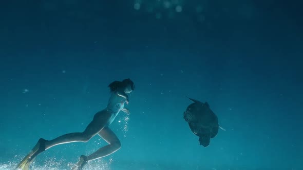 Girl in Swimsuit, Mask and Fins Swimming Freely Underwater with Wild Turtle. Sense of Unity with alt
