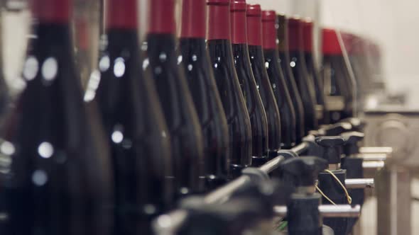Red Wine bottles on a conveyor belt in a wine bottling factory. alt