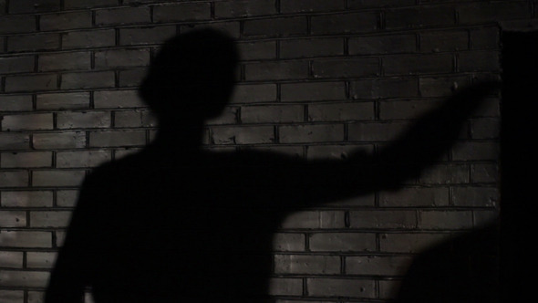 Female Shadow on a Brick Wall