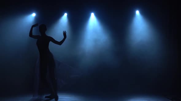 Flexible Ballerina in Tutu Dancing Classical Ballet Elements. Slow Motion. alt