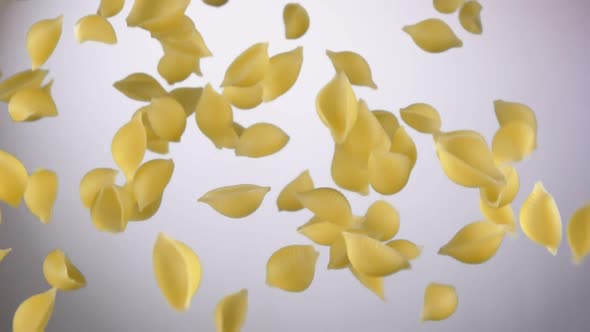 Dry Pasta Conchiglie Rigate Flying Up on a White Background alt