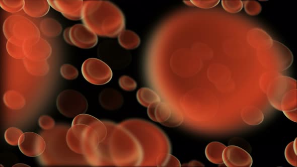 Red blood cells moving in the blood stream