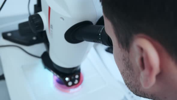 Young Scientist Looking Through a Microscope in a Laboratory alt