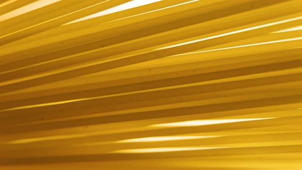 Close Up Background of Spaghetti Pasta alt