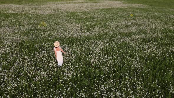 Woman in a White Dress and Hat Walks Through a Field with Daisies in the Evening at Sunset in Summer alt