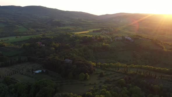 The Drone Flies Over the Wine Fields in Italy